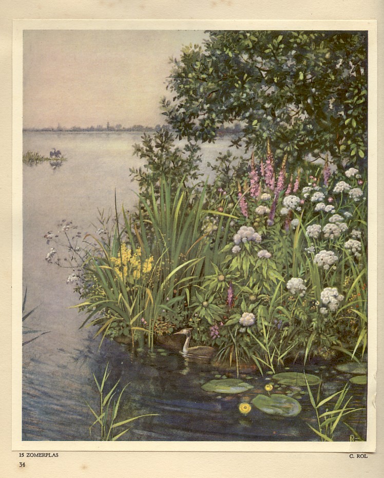 Watertuin in 1937, uit het Verkade-album: waar wij wonen
