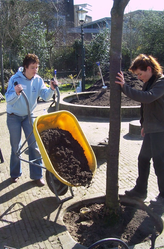 Deze vrijwilligers zorgden voor verse grond in de boomkrans.