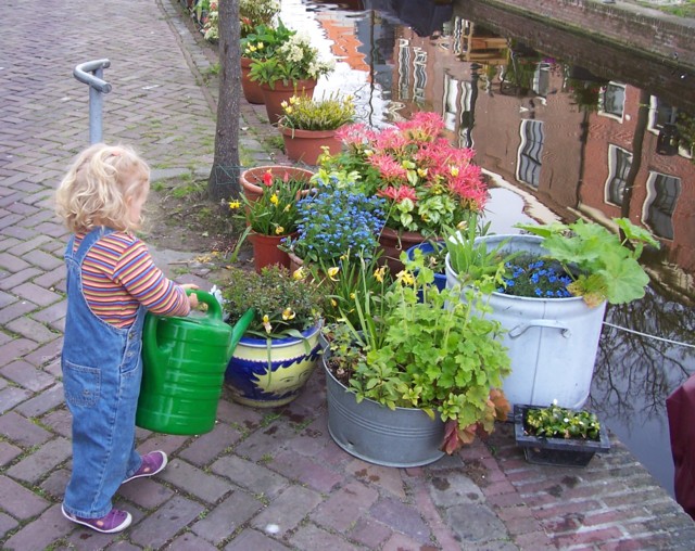 Lekker water geven aan de plantjes!