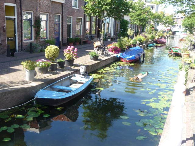 Snorkelen in de Kijfgracht