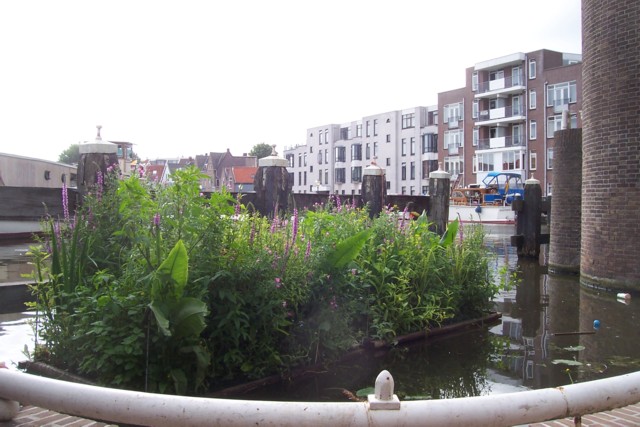 Naar de vernieuwde pagina over watertuinen in Leiden
