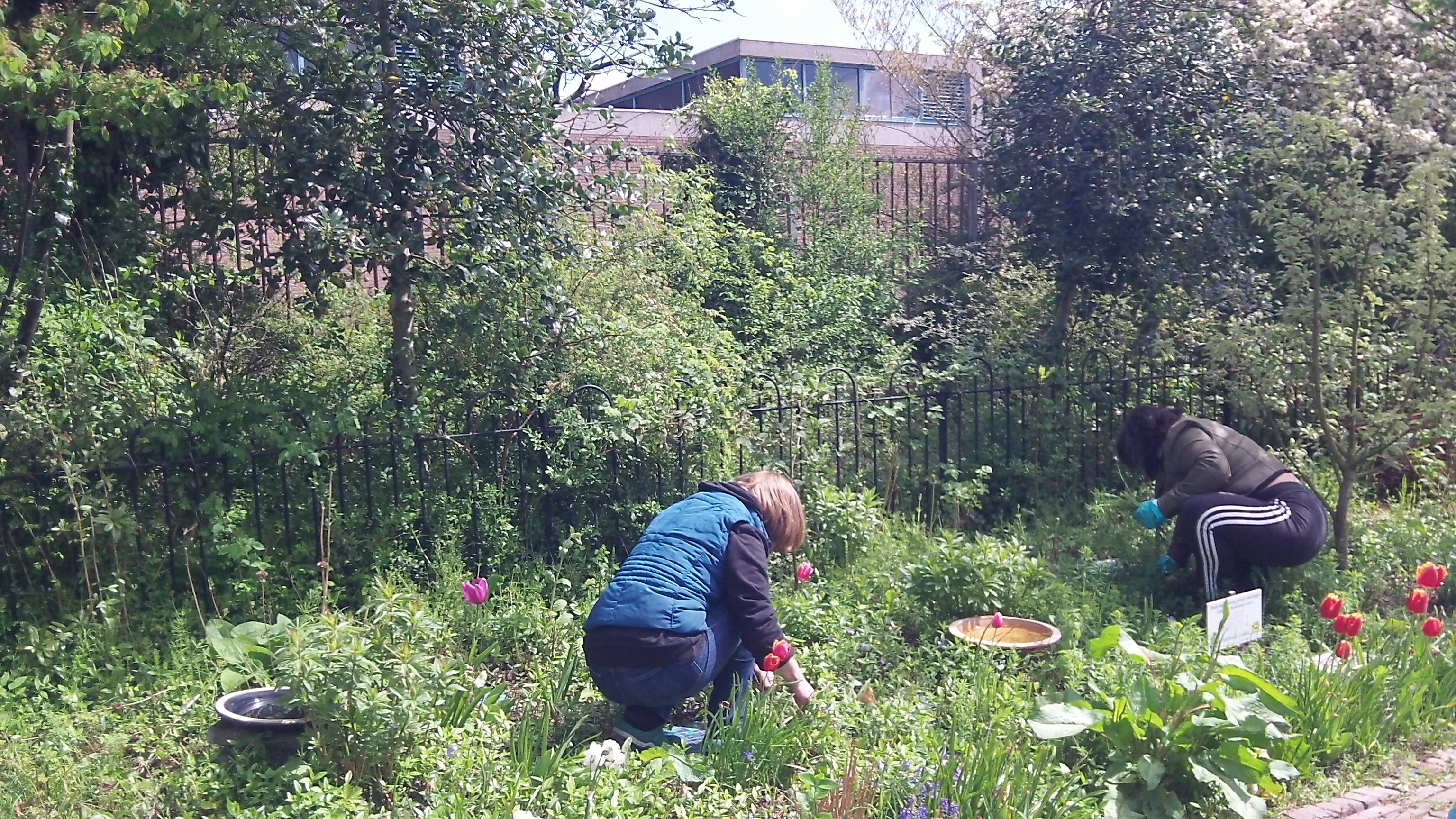 Samen genieten van de stadsnatuur! En je leert nog eens wat ;-)