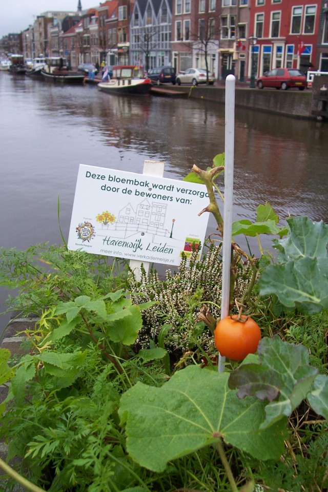 tomatenbaknieuwbordje