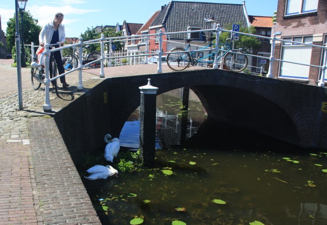 Een reddingsnest met bewoners en bewoners