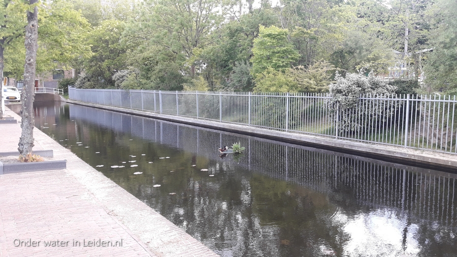 binnenvestgracht nog zonder watertuinen 14mei2020