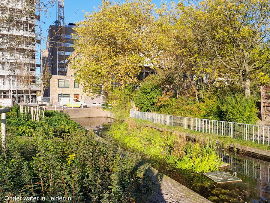 watertuinen langs Lakenplein kijkrichting Oosterkerkstraat 28okt2021