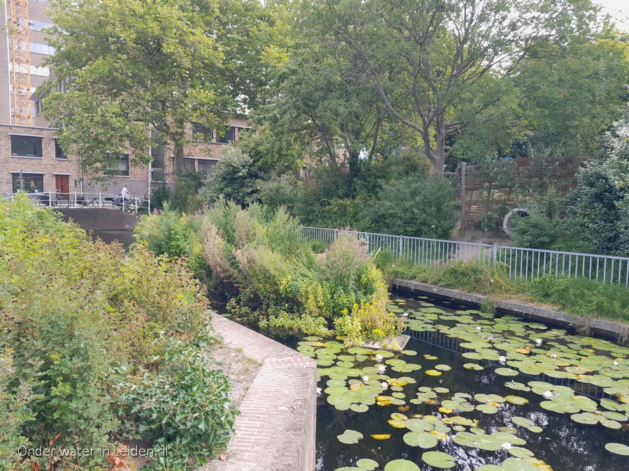 watertuinen Binnenvestgracht met bocht Lakenpark 12jul2022