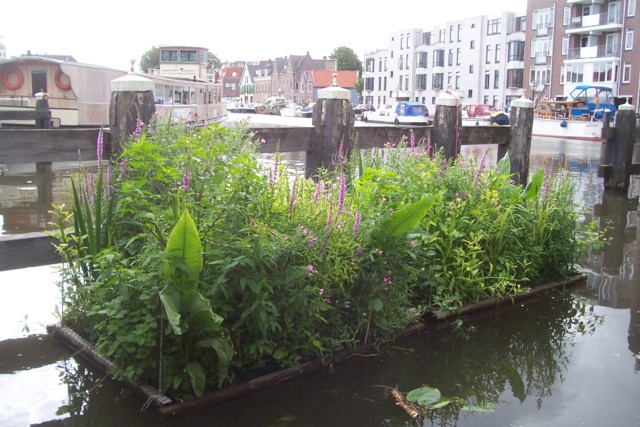 watertuinen in de zomer van 2010